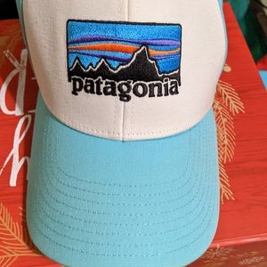 Patagonia P-6 Logo Snap Back - Aqua